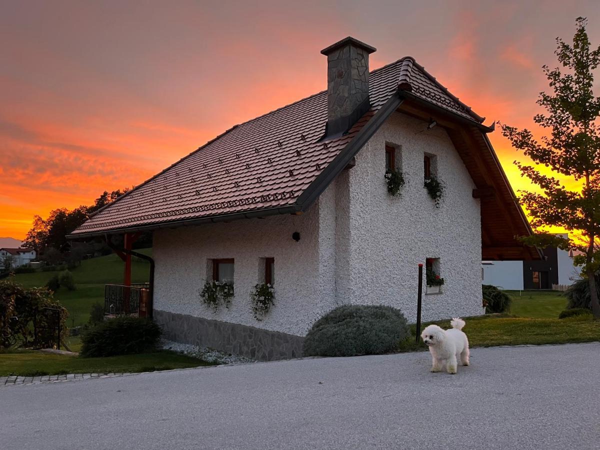 Holiday Home Dobrotin Vojnik Exterior foto