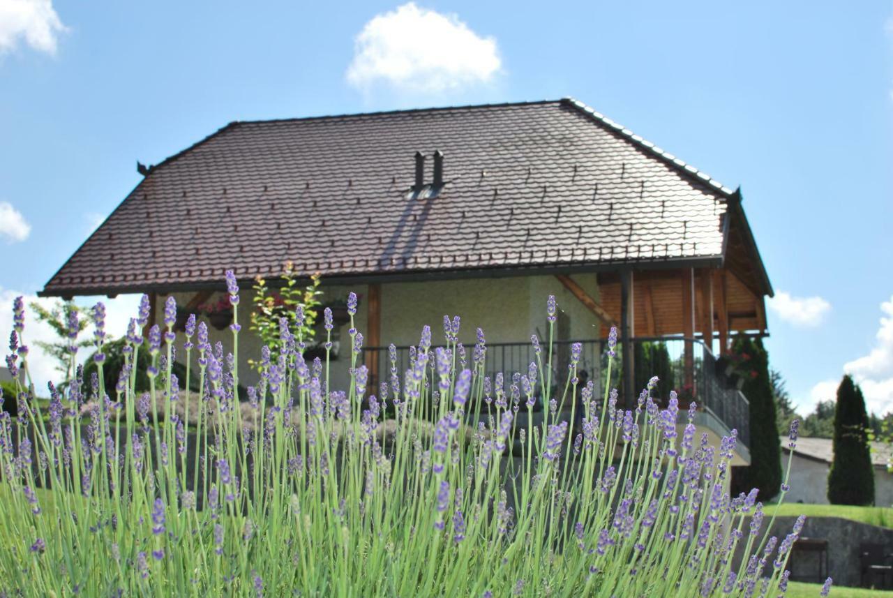 Holiday Home Dobrotin Vojnik Exterior foto